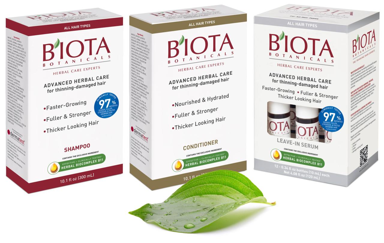 How to Reap the Benefits of Biota Herb in Your Daily Life