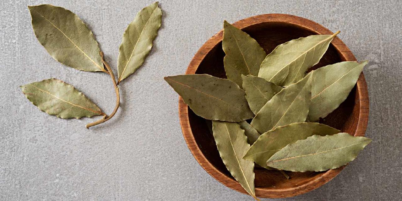 The Essential Guide to Bay Leaf Alternatives for Perfect Dishes