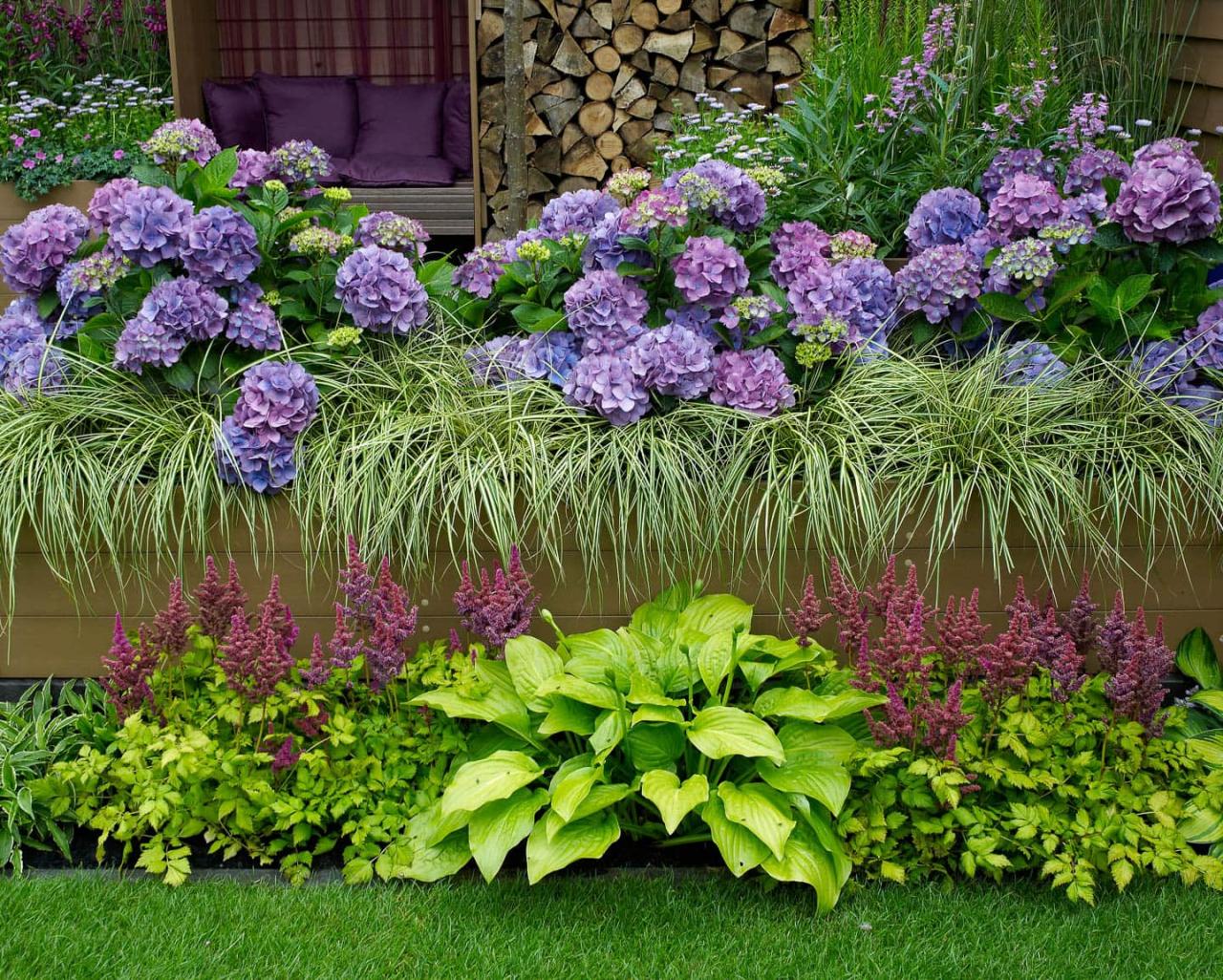 How to Prevent Weeds With Ground Cover Companion Plants Around Hydrangeas