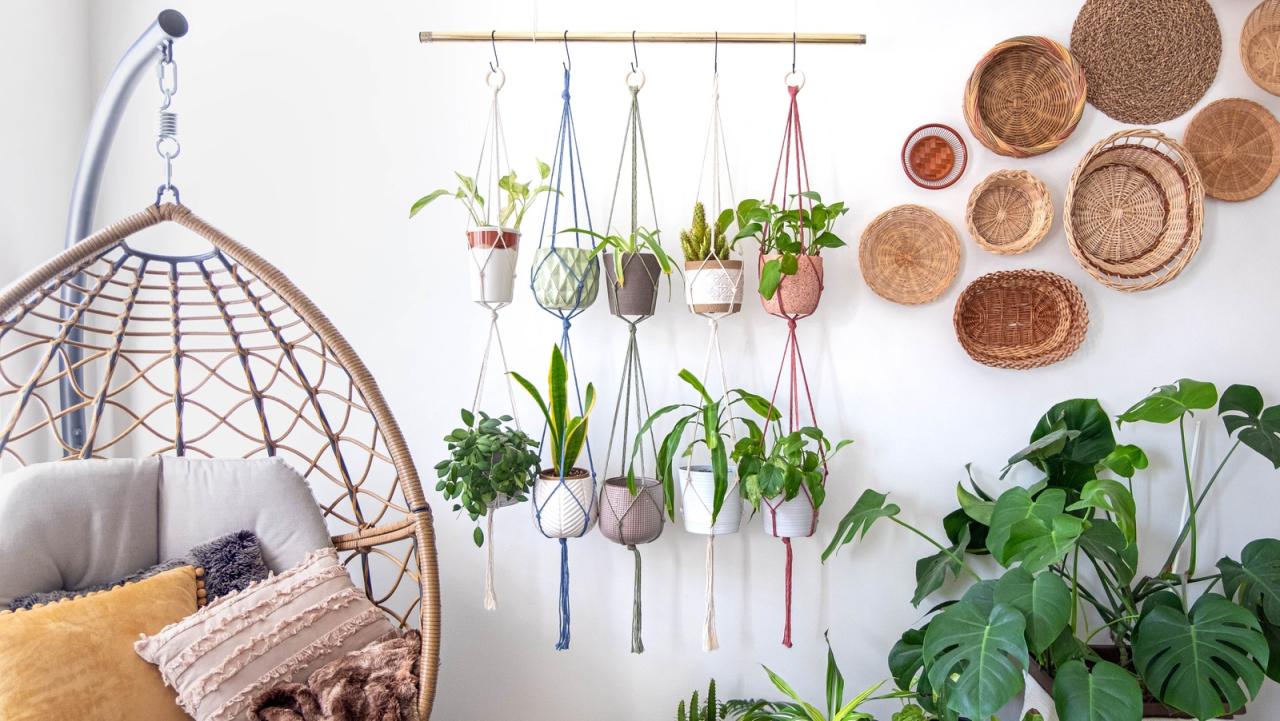 How to Select the Right Spot for Your Hanging Plants