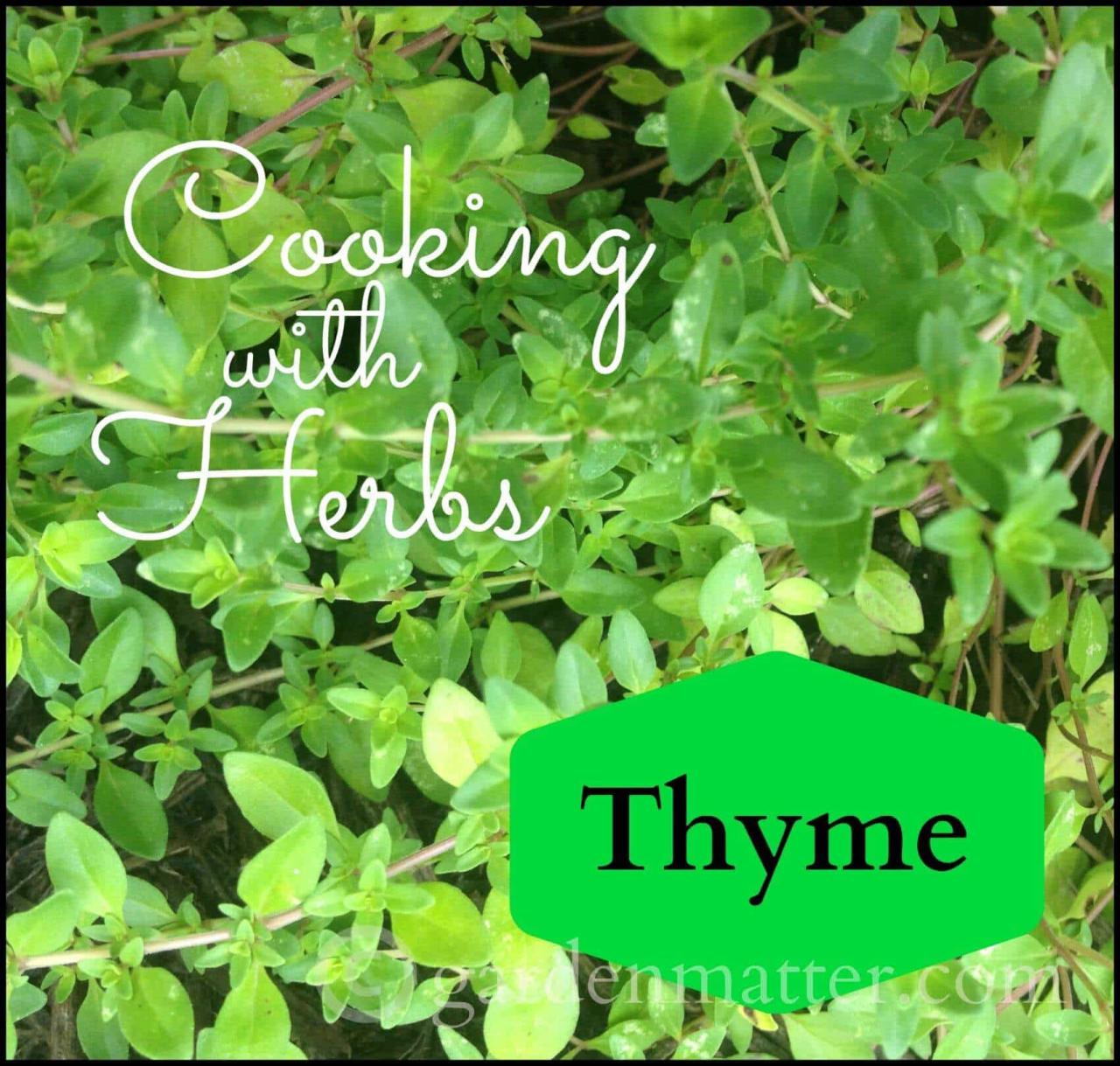 Thyme cook wikihow